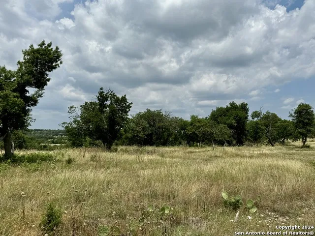 LOT 25 Ridgeline Rd Fredericksburg, TX 78624