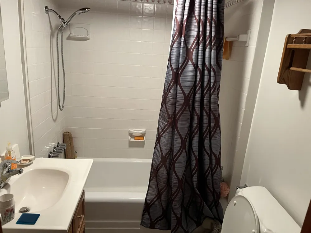 1024 Huron Whitney Township, MI 48763