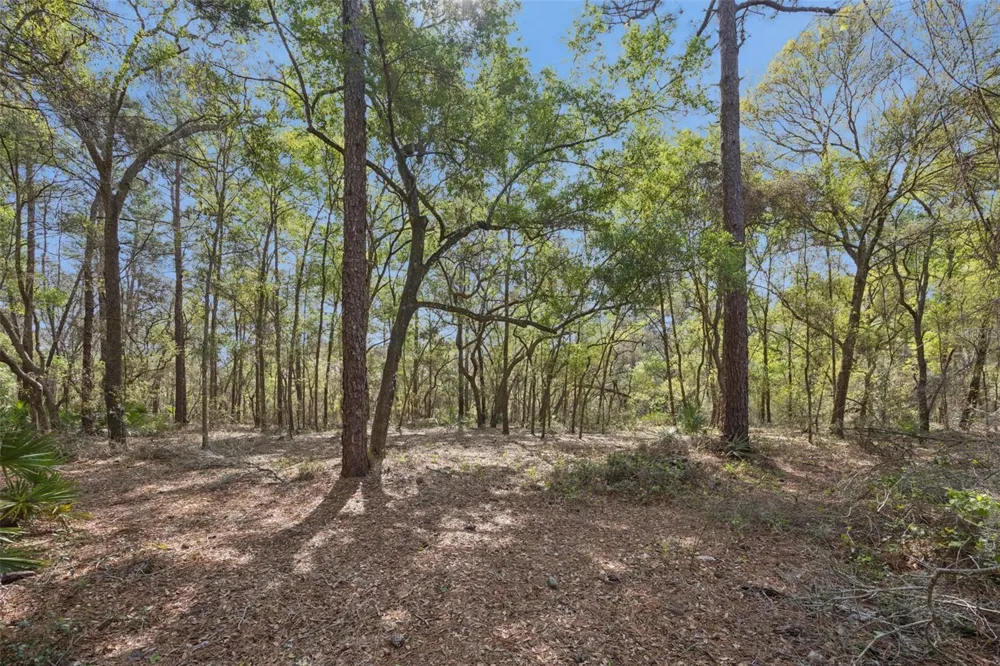 2130 MISSOULA TRAIL Deltona, FL 32738