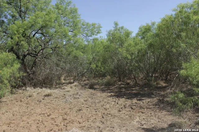 200 Rogers Ranch Road Big Wells, TX 78830