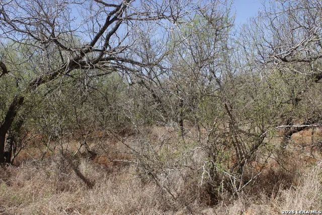 200 Rogers Ranch Road Big Wells, TX 78830