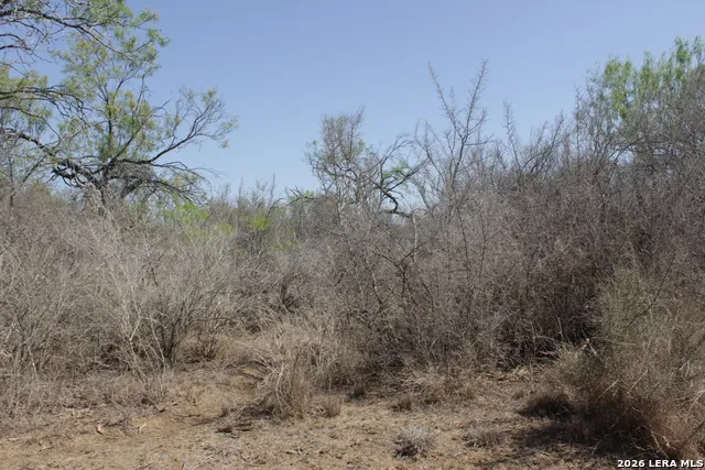 200 Rogers Ranch Road Big Wells, TX 78830