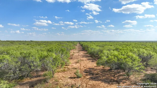 6472 Bluntzer Rd Jourdanton, TX 78026