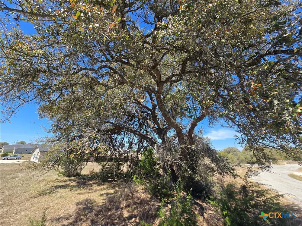Hiram Cook Blanco, TX 78606