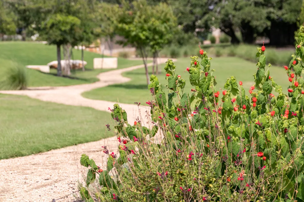 1417 Jolie Rose Bend Leander, TX 78641