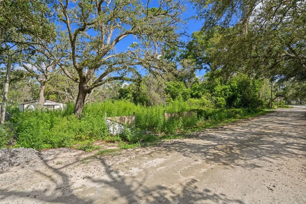 3241 TAFFETA STREET Dade City, FL 33523