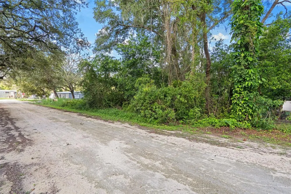 3241 TAFFETA STREET Dade City, FL 33523
