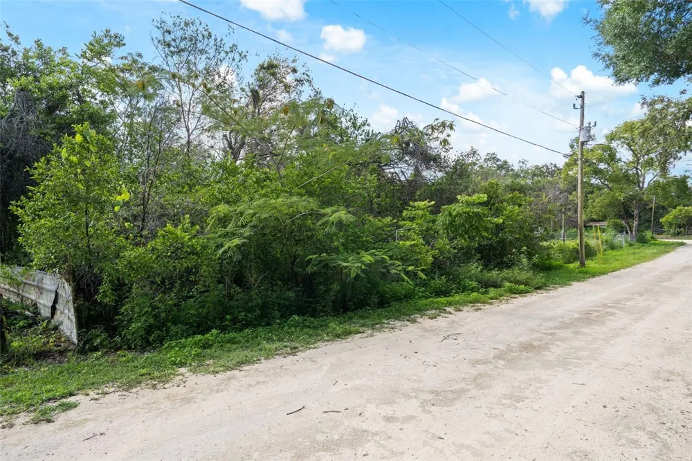 3241 TAFFETA STREET Dade City, FL 33523