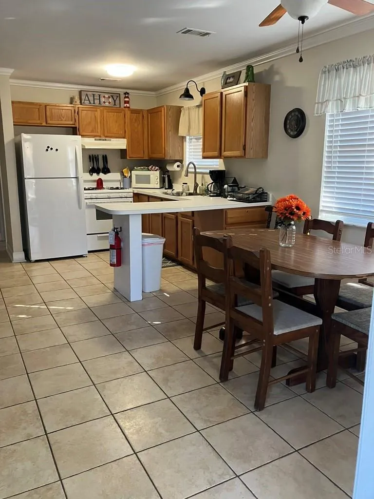 25079 NE 140TH LOOP Salt Springs, FL 32134