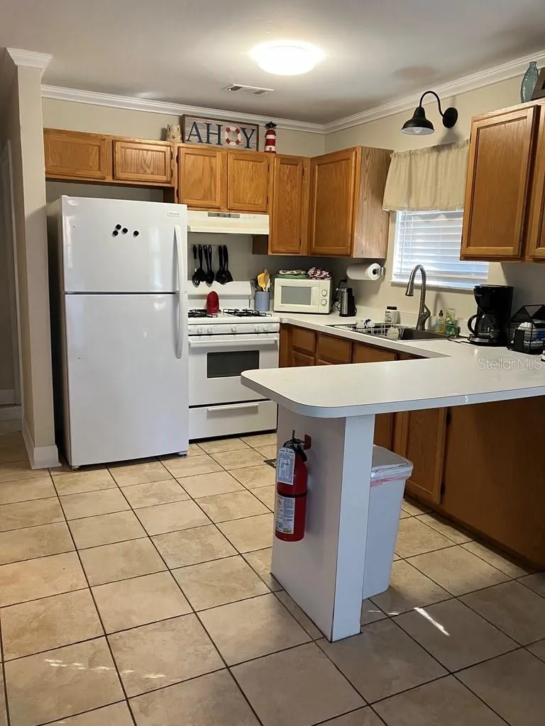 25079 NE 140TH LOOP Salt Springs, FL 32134