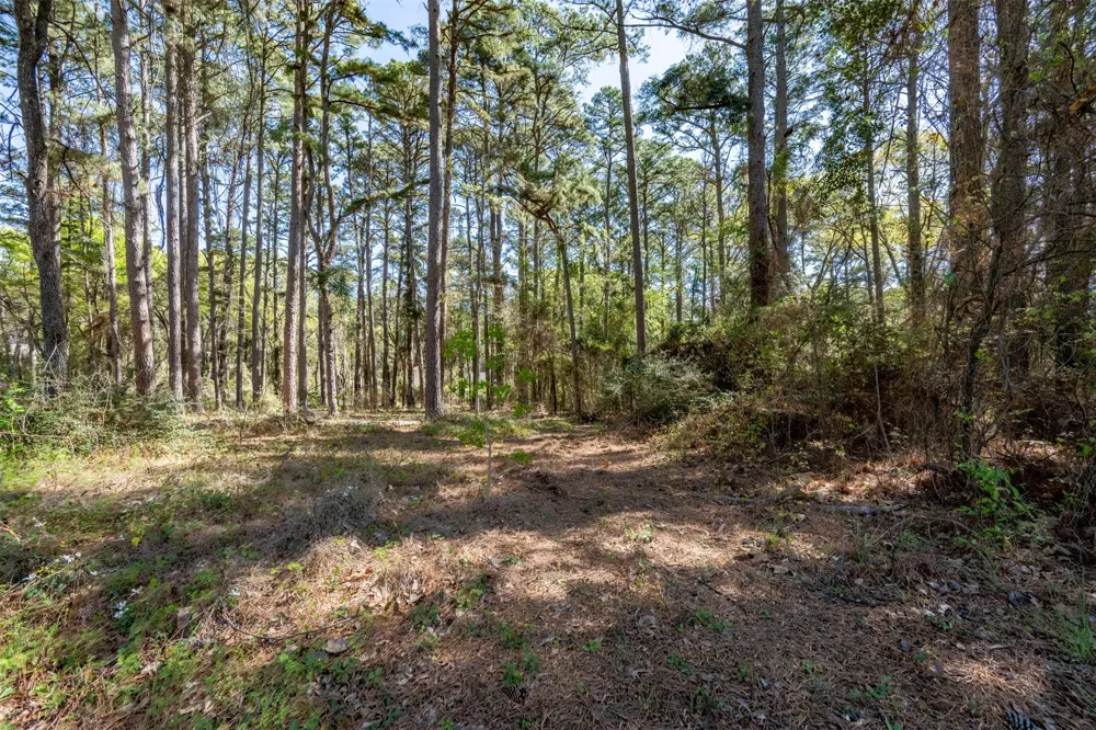 18591 Lazy Lane Flint, TX 75762