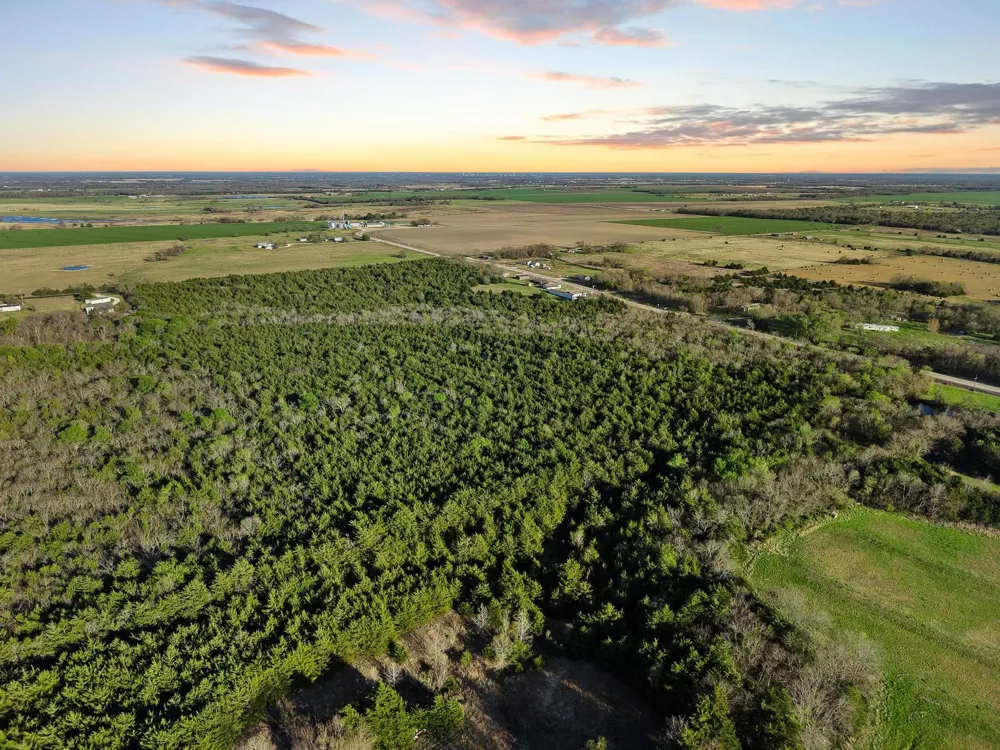 County Road 4617 Wolfe City, TX 75496