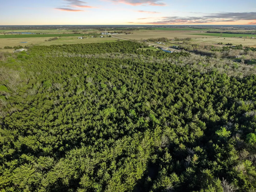 County Road 4617 Wolfe City, TX 75496