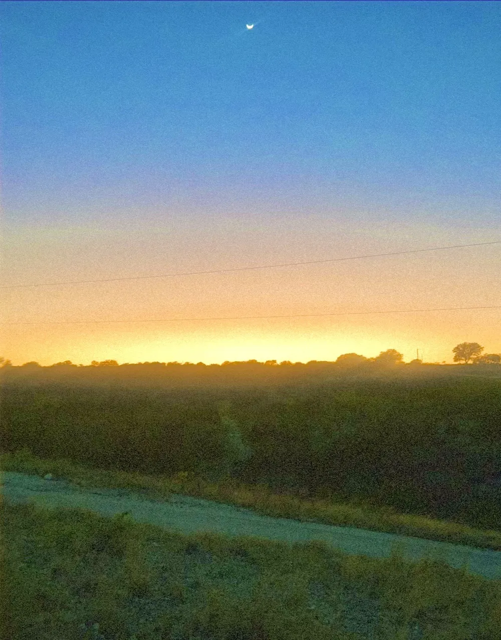 Seven Springs Drive Junction, TX 76849
