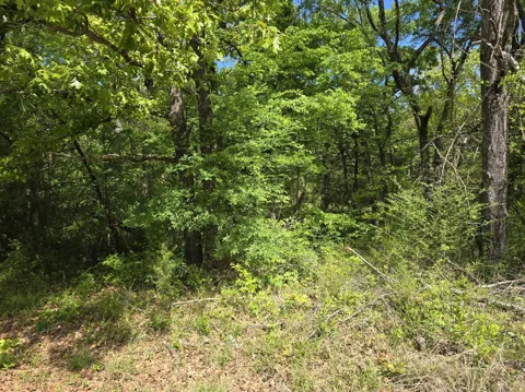 Shady Grove Road