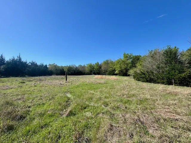 FM 1512 Jewett, TX 75846