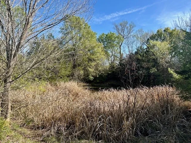 FM 1512 Jewett, TX 75846
