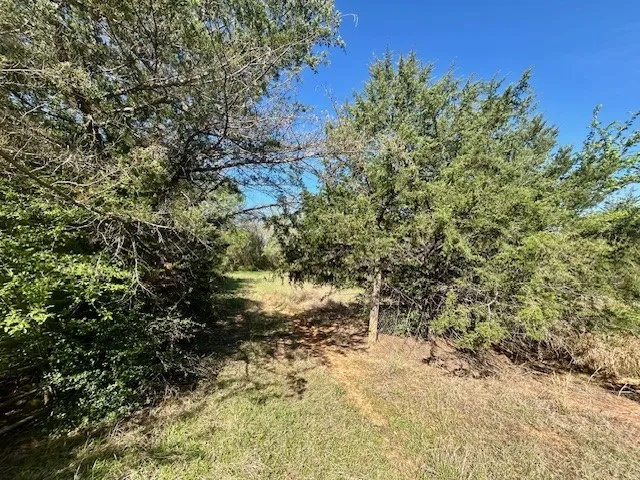 FM 1512 Jewett, TX 75846