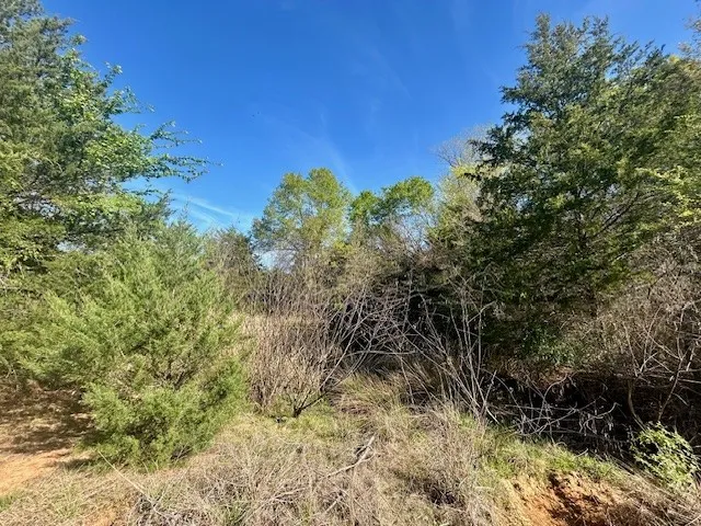 FM 1512 Jewett, TX 75846