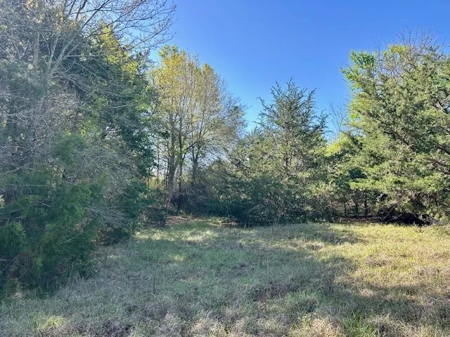 FM 1512 Jewett, TX 75846