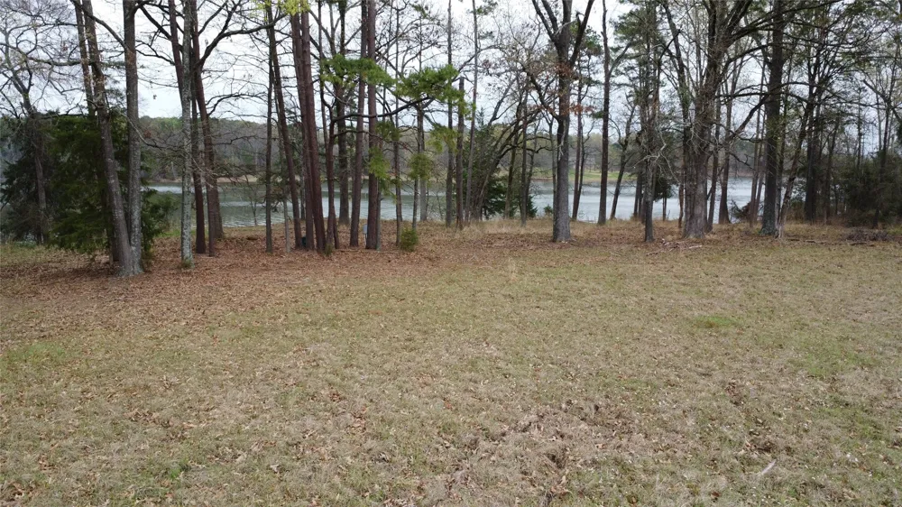 2039 C.R. 2850 Pittsburg, TX 75686