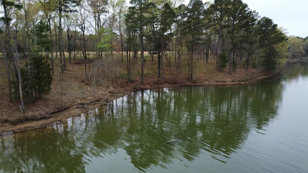 2039 C.R. 2850 Pittsburg, TX 75686