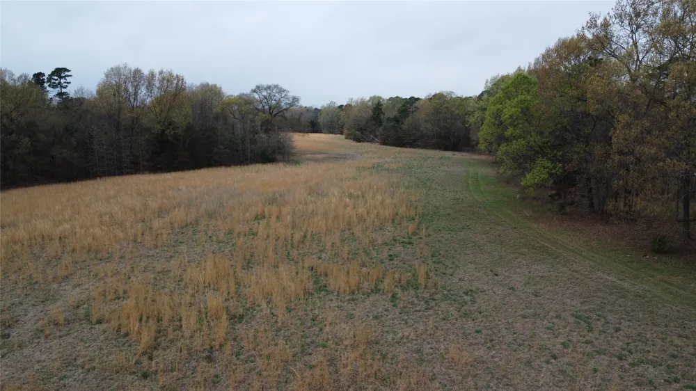 2039 C.R. 2850 Pittsburg, TX 75686