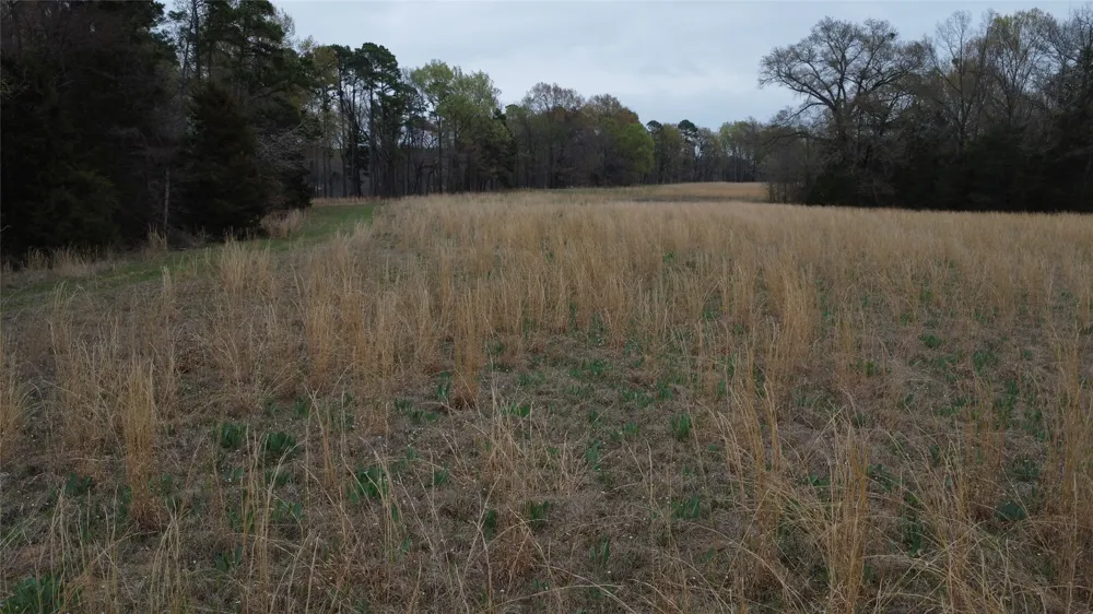 2039 C.R. 2850 Pittsburg, TX 75686