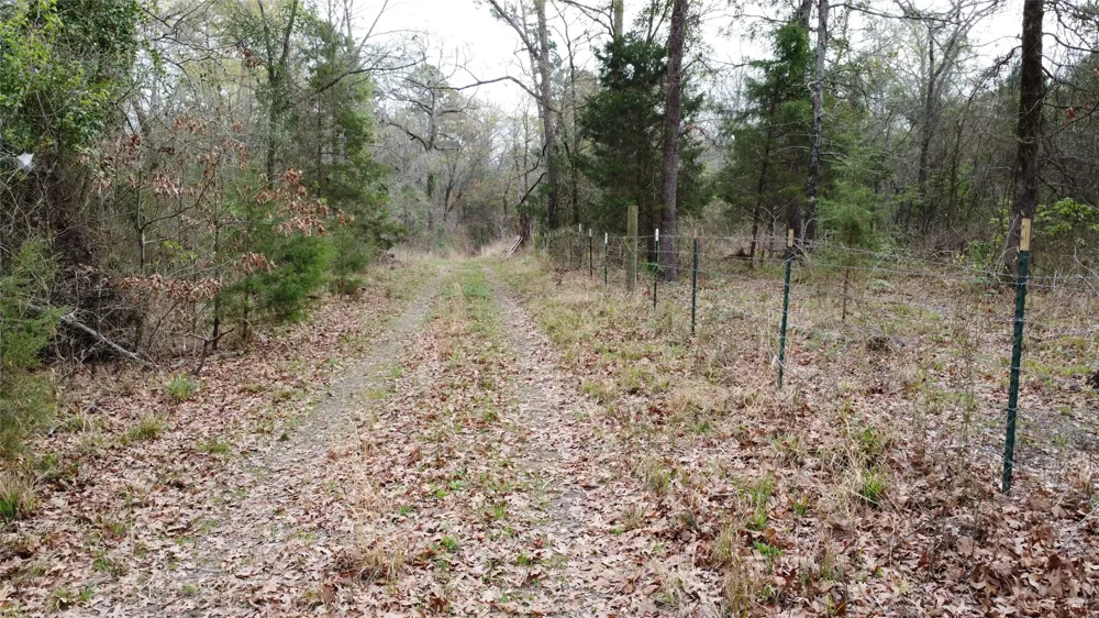 2039 C.R. 2850 Pittsburg, TX 75686