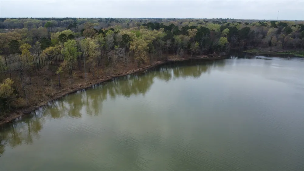 2039 C.R. 2850 Pittsburg, TX 75686