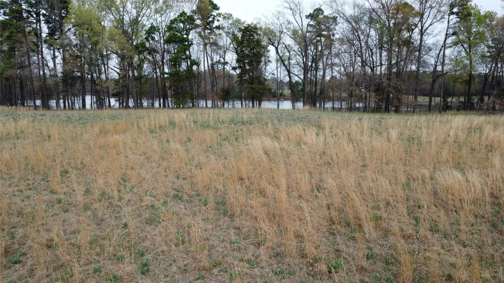2039 C.R. 2850 Pittsburg, TX 75686