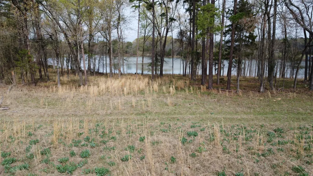 2039 C.R. 2850 Pittsburg, TX 75686