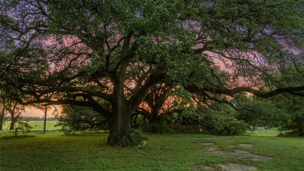Horseshoe Bend Road Waco, TX 76708