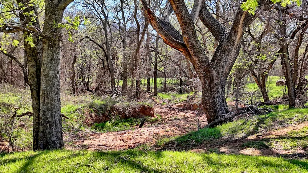 4179 Rock Springs School Road Nocona, TX 76255