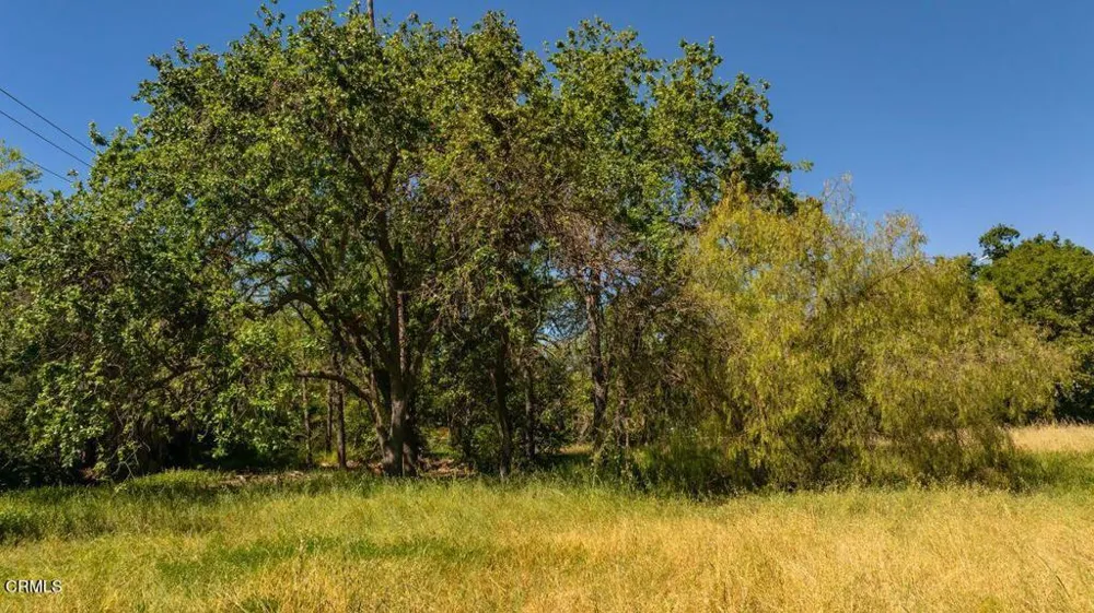 401 S Fulton Street Ojai, CA 93023