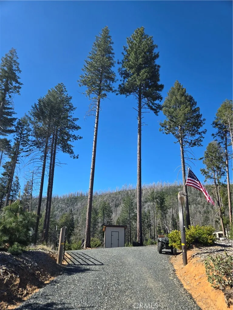 11691 Oro Quincy Highway Berry Creek, CA 95916