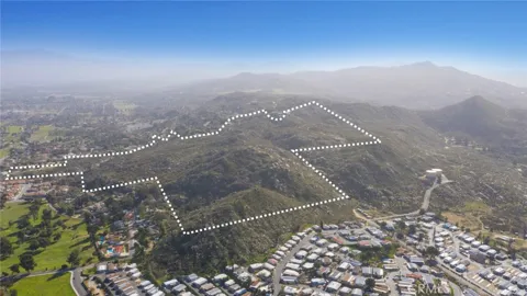 Pachea Trail