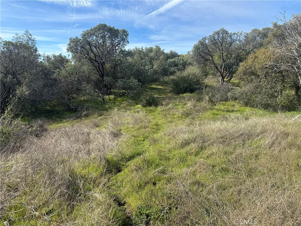 9 Quartz Ridge Court Coarsegold, CA 93614