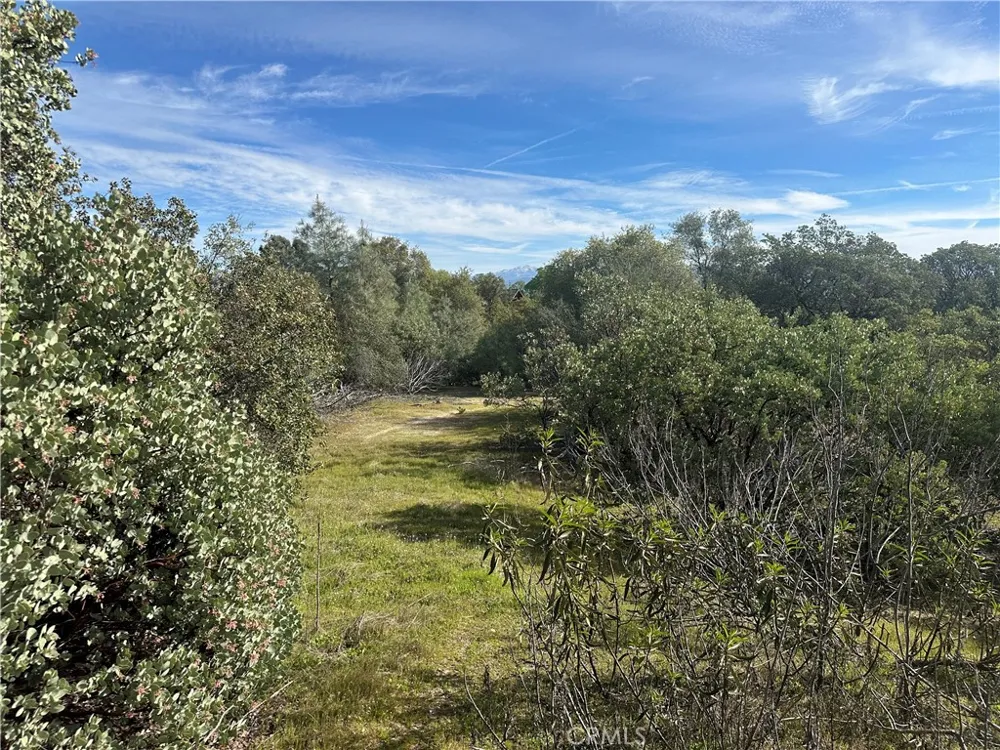 9 Quartz Ridge Court Coarsegold, CA 93614
