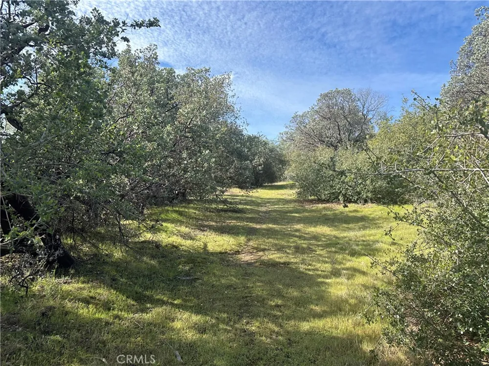 9 Quartz Ridge Court Coarsegold, CA 93614