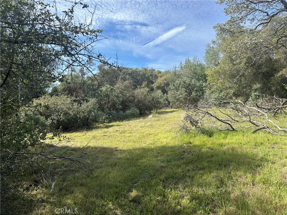 9 Quartz Ridge Court Coarsegold, CA 93614