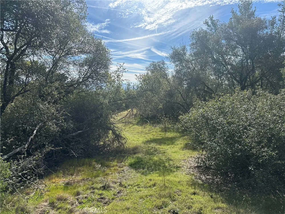 9 Quartz Ridge Court Coarsegold, CA 93614