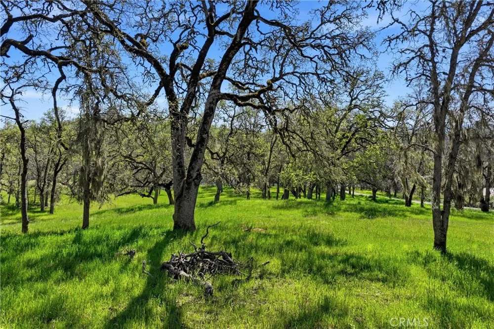 726 Park Lakeport, CA 95453