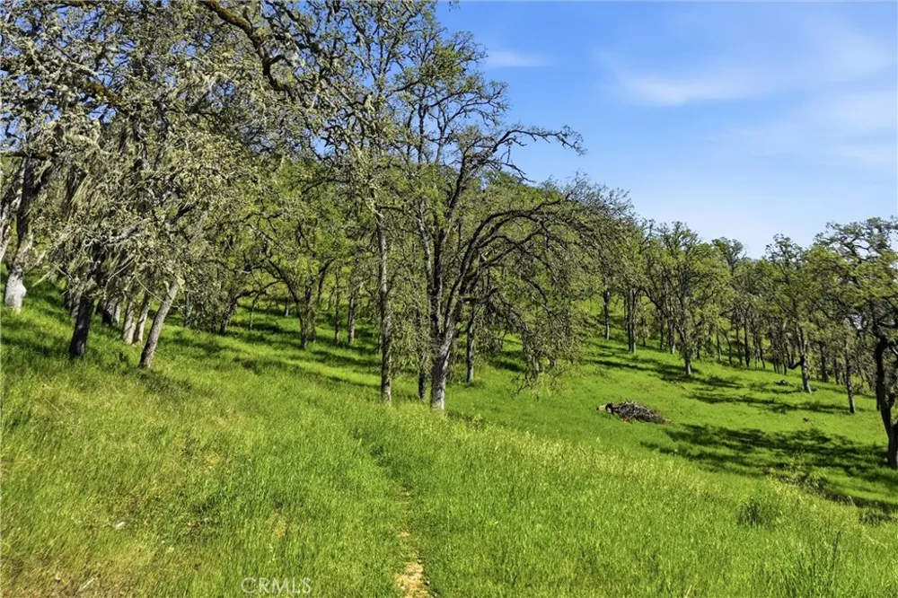 726 Park Lakeport, CA 95453