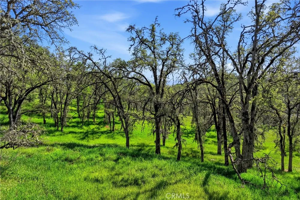 726 Park Lakeport, CA 95453