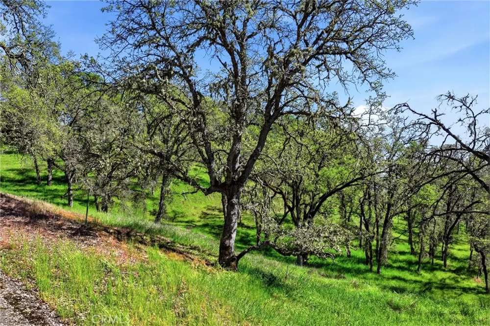 726 Park Lakeport, CA 95453