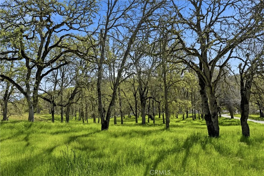 726 Park Lakeport, CA 95453