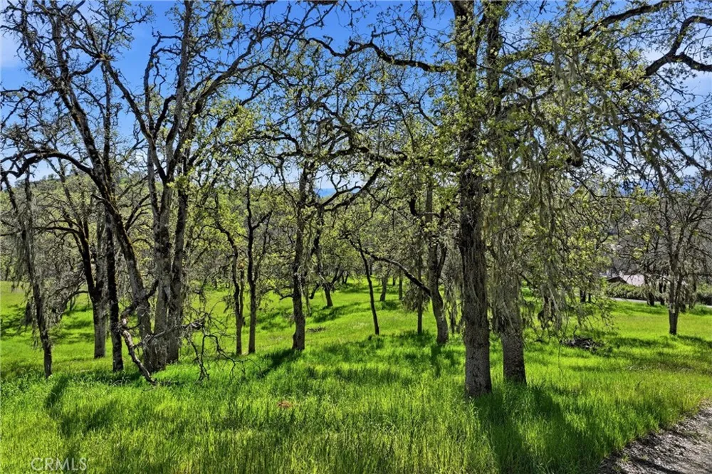 726 Park Lakeport, CA 95453