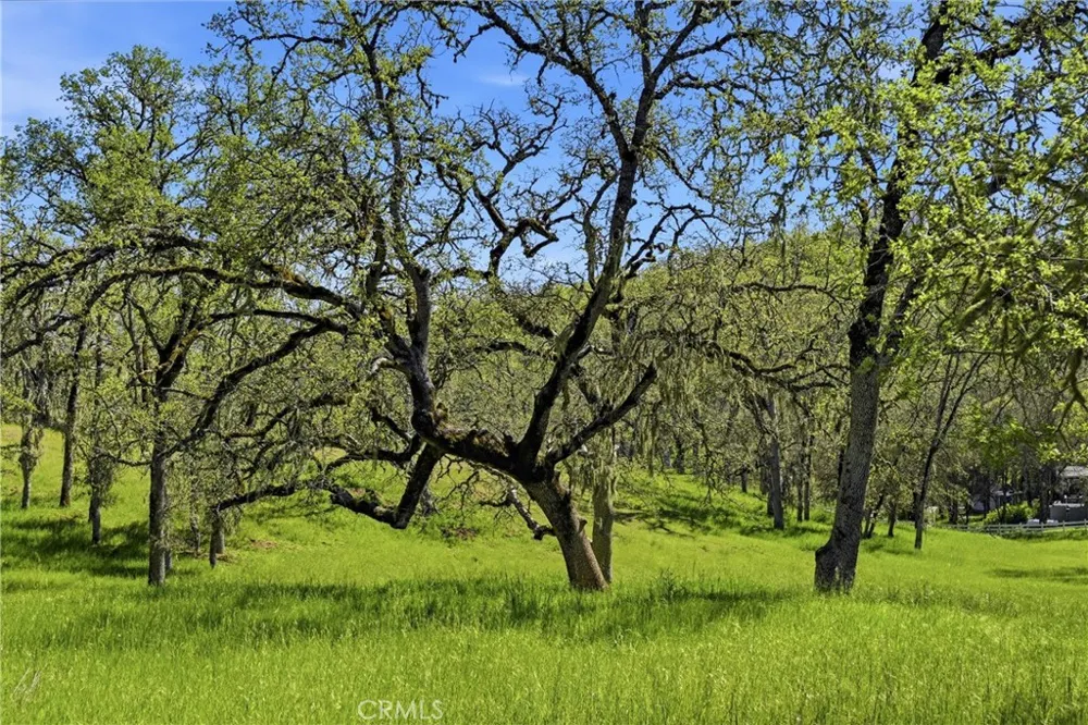 726 Park Lakeport, CA 95453