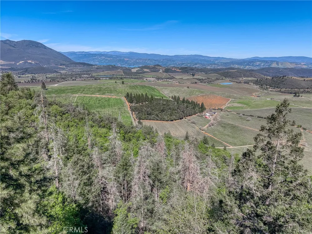 9237 Diamond Dust Kelseyville, CA 95451